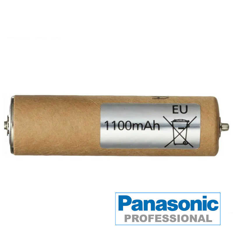 Panasonic batterie GP21 GP22 PA10 PA11 ER121